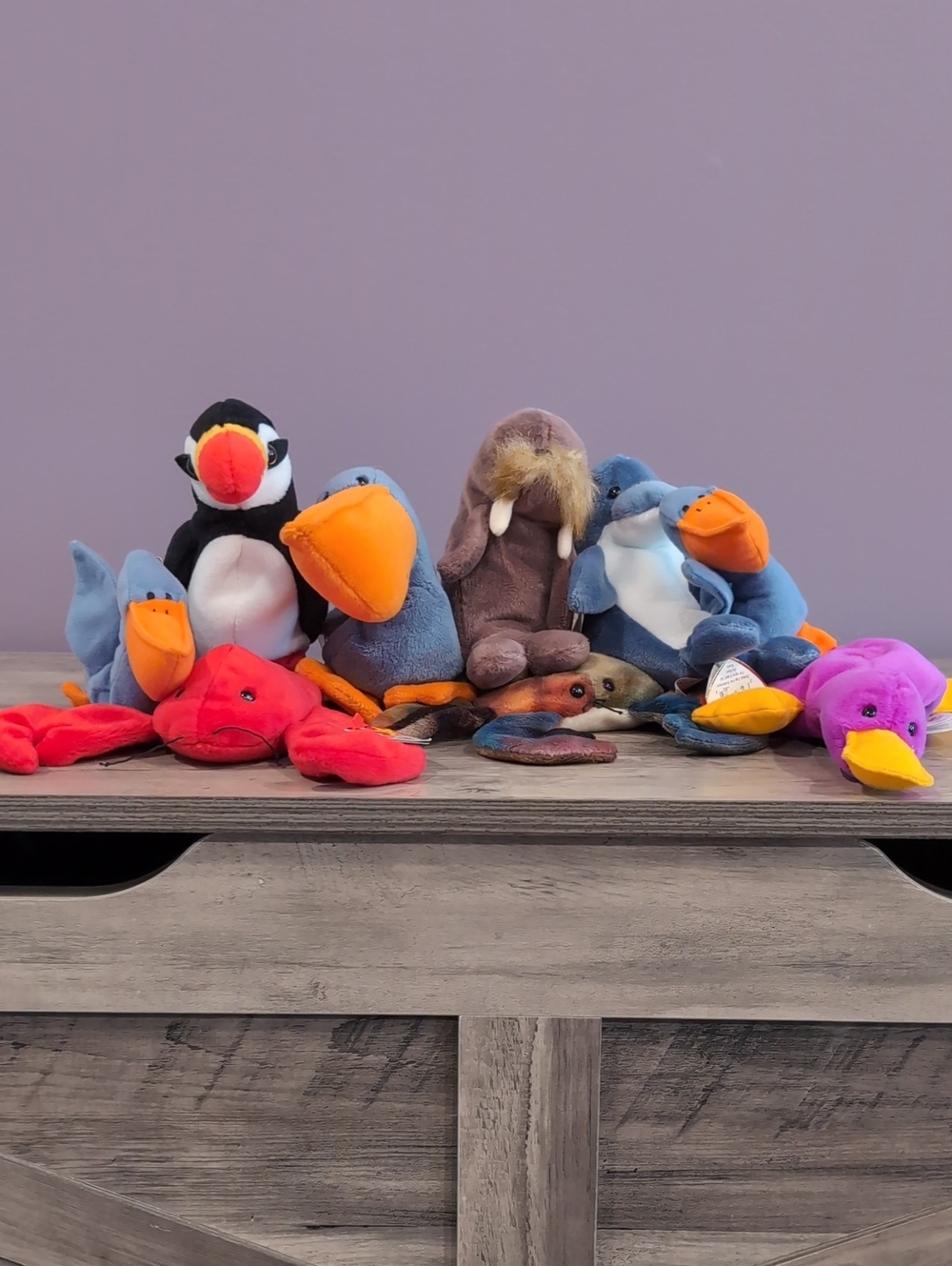 Assorted Ty Plush Sea Animal Lot